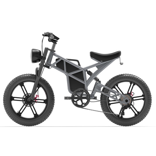 DISIYUAN 20*4.0 500W 750W 1000W big power Fat tire electric Mountain E bike/Snow bike/electric bicycle