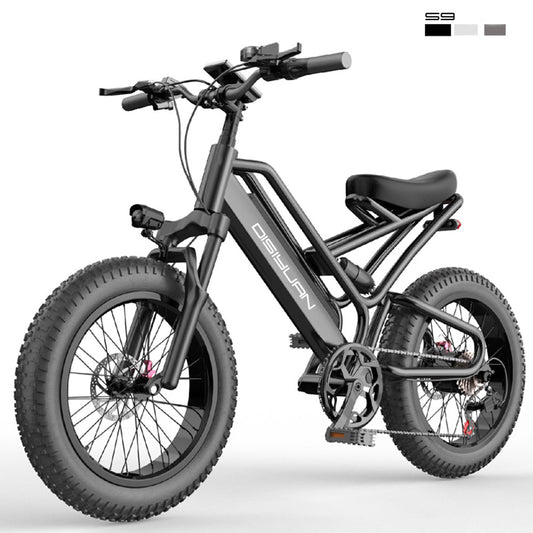 DISIYUAN Moped 550W 48V 10Ah Electric Bicycle 20inch Fat Tire E Bicycle Full Suspension Electric Bike