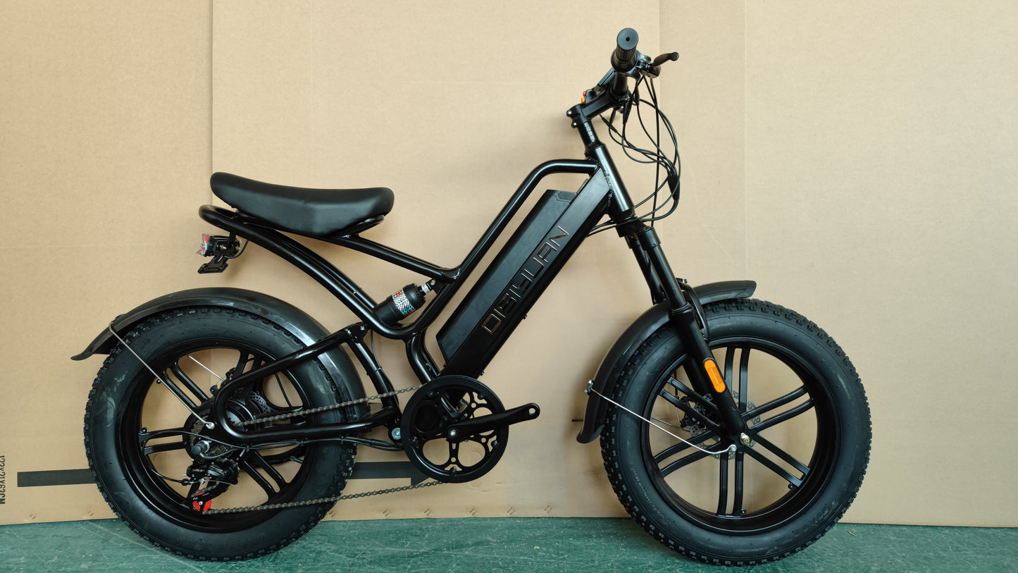 DISIYUAN Moped 550W 48V 10Ah Electric Bicycle 20inch Fat Tire E Bicycle Full Suspension Electric Bike