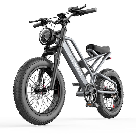 S9  all terrain offroad ebike bicycle 500W 48V 10AH electric bike fat tire bicycle beach cruise ebike